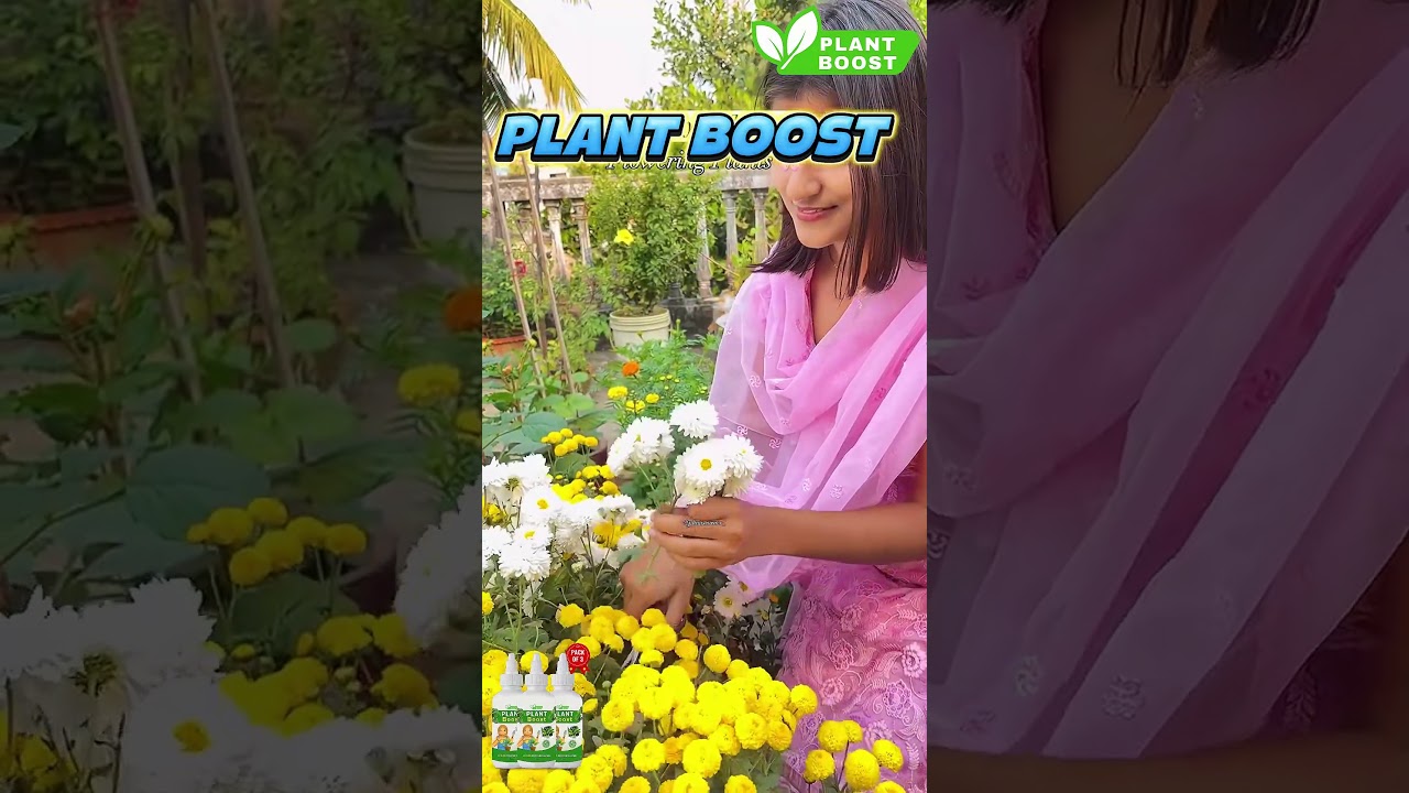 Plant Boost—Organic Nutrition Made Simple 🌼 