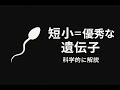 【精子戦争】ち○こが小さいことを誇れるようになります