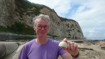 Chalk rocks 1: Chalk