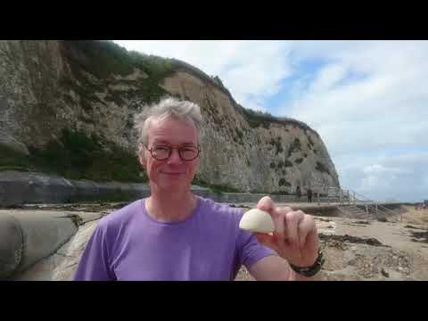 Video: Er dovers hvide klipper lavet af kridt?