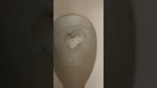 Vons replace the Scott toilet paper dispenser