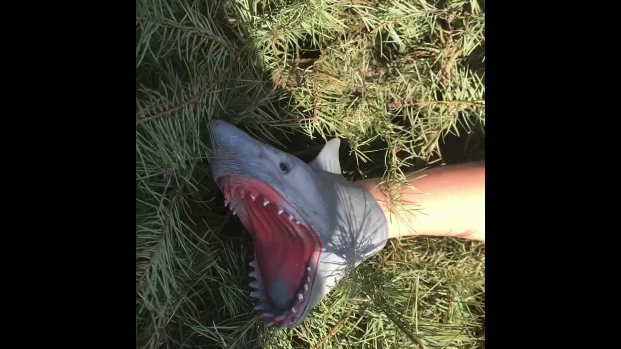 Shark Puppet Rapper Shark puppet (The land shark music video) - YouTube