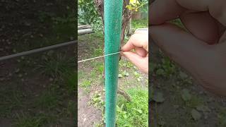 Thumbnail for Really practical tips and tricks! How to securely fasten a wire to a metal pole #shorts #diy #tips