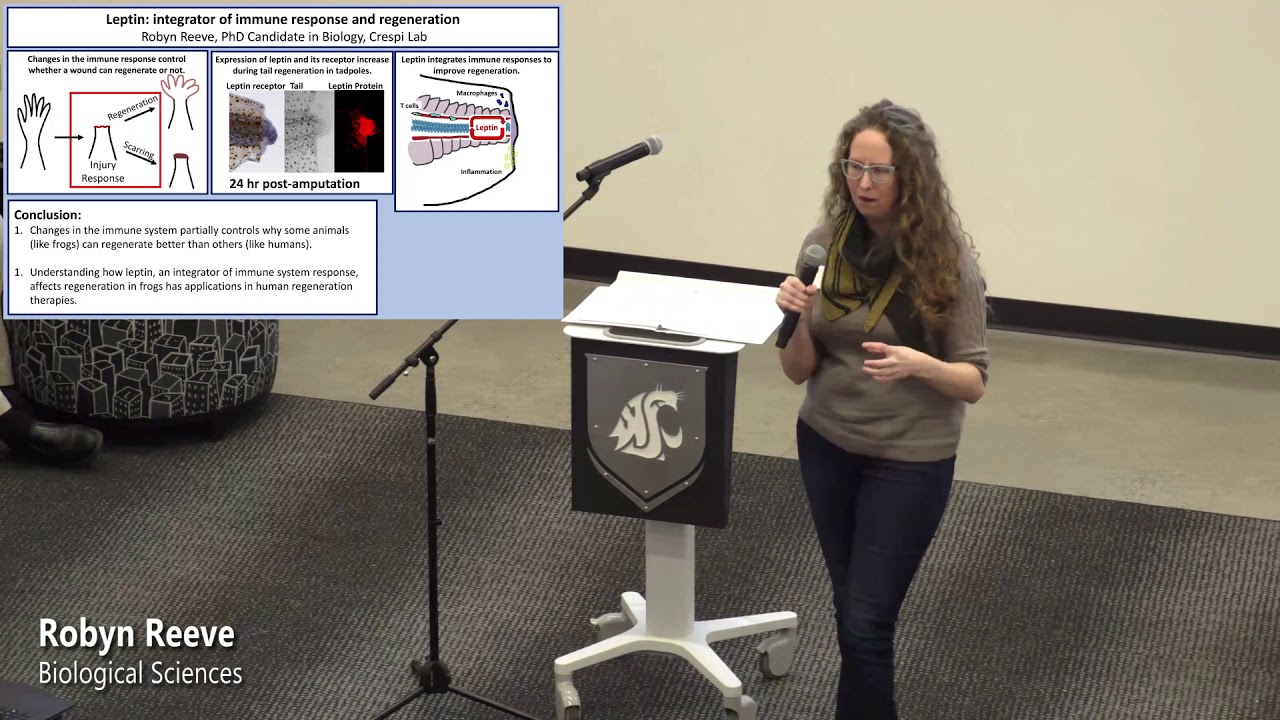 3MT 2020 - Robyn Reeve - YouTube