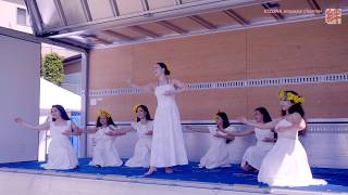 タヒチヌイ タムスさくら病院川口 病院祭り 2026.5.16