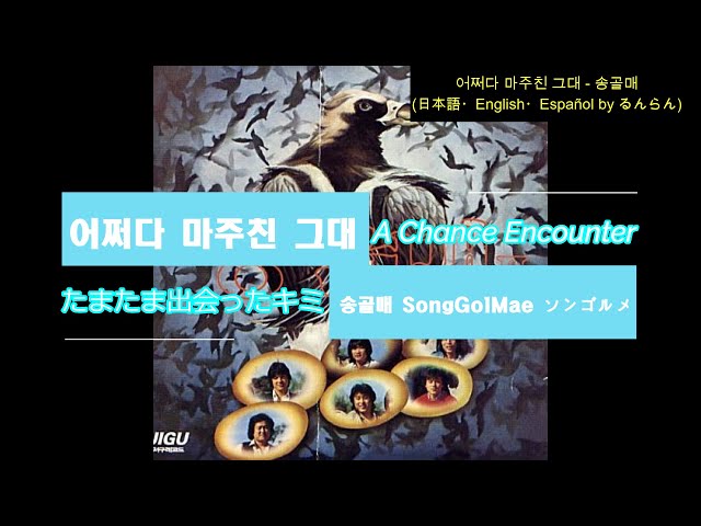 日本語/ENG/ESP) 송골매 SongGolMae (Falcon) ソンゴルメ - 어쩌다