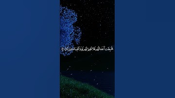 أُولَٰئِكَ الَّذِينَ كَفَرُوا بِآيَاتِ رَبِّهِمْ  .. الآية 105 من سورة الكهف بصوت الشيخ فارس عباد
