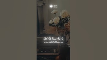 إذا رأيتهم حسبتهم لؤلؤا منثورا | محمد صديق المنشاوي | سورة المطففين #المنشاوي