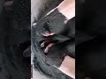 Dust Play #oddlysatisfying #asmrcrumble #yshorts