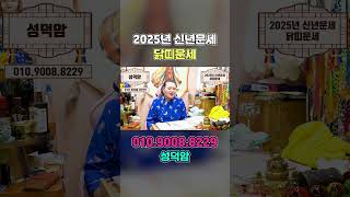 2025년 을사년 닭띠운세!! 달려보자!! #2025년운세 #닭띠운세 #신년운세