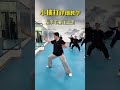 Master Chen's Tai Chi: Secret Grappling & Striking Moves Unveiled