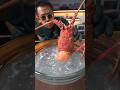 #JasonDeruloTV // Giant Red Lobster 🦞 IG @bankii_ii