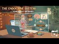 Endocrine system |pituitary gland |first aid (part 2)