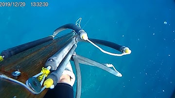 B Daniel Double invert roller Dentex long shot 3