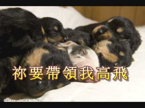 詩班主愛的大能練習曲S