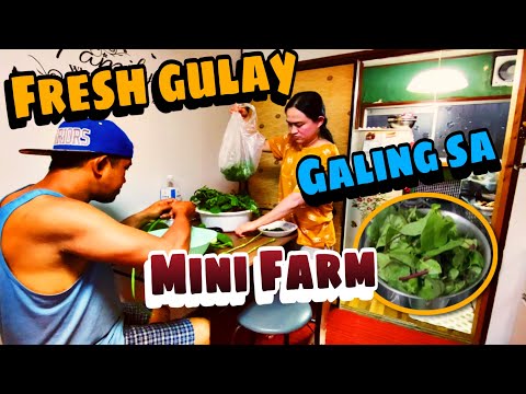 Niluto na agad namin ang na harvest na gulay sarap ng sabaw ng bulanglang
