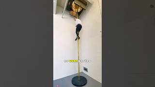 Why Firefighters No Longer Use Fire Poles.  #didyouknow #us #fyp #foryoupage