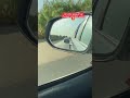 تويوتا شعار لا يعرف القانون الهايلوكس تبقه شامخ
