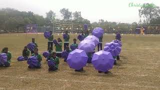 Umbrella dance ☂️☂️//TSN School Sports day // 2023