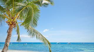 Tropical Ocean 4K | Calm Bossa Nova for Stress Relief and Peace of Mind