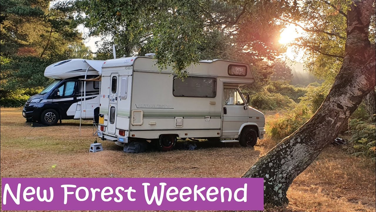 Roundhill Camping In The Forest Site YouTube