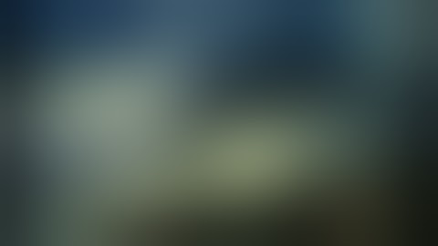 Why does Alpha Protocol hate stealth characters so fucking much?