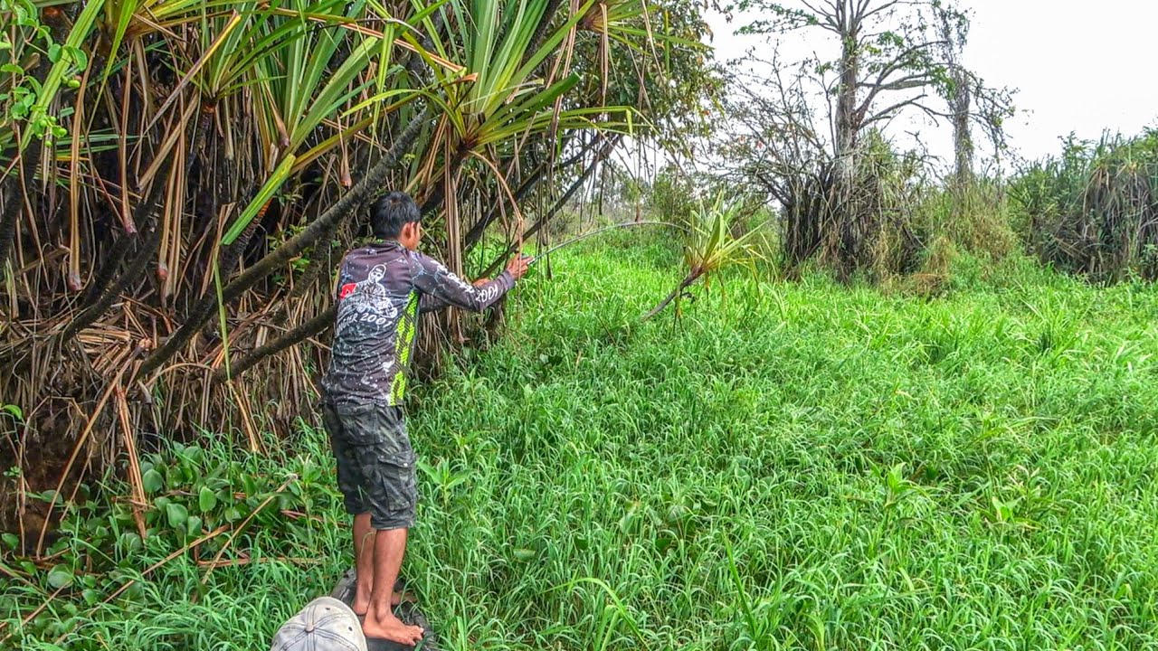 HANYA ORANG2 TERTENTU MANCING DISEMAK BEGINI 😂