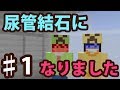 【マインクラフト】#1 尿管結石になりました ~激痛~ 【脱出ワールド】
