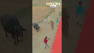 #shortvideo s #viral #music #browsefeatures #cartoon #dance #mrbeast #shortsfeed #song #shortsviral