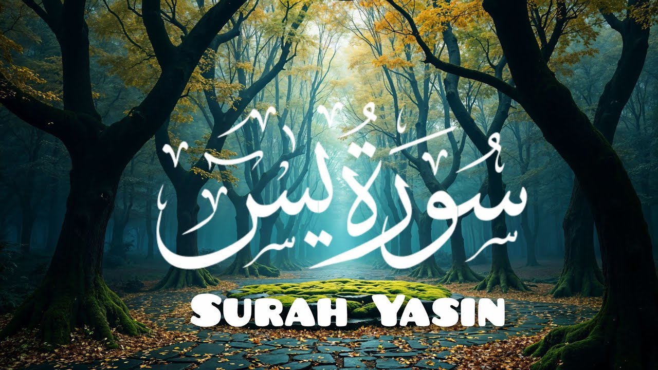 Surah Yasin | Heart-Touching Quran Recitation | Peace for Soul 🤍by Qari Mahmood chang