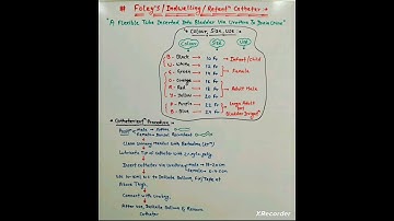 foleys/ indwelling retent catheter colour, size and use | catheterization procedure| fundamental bsc