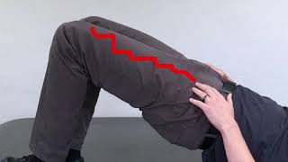 BRIDGE (Hip Extension)
