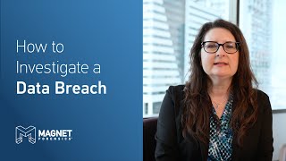 How to Investigate a Data Breach