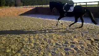 VID-20120116-00006