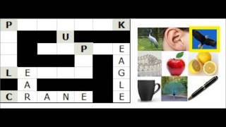 Fun Activities: Crossword Puzzles
