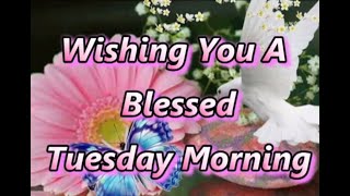 Tuesday Wishes,Tuesday Greetings,Morning Prayer,Good Morning Whatsapp Video,Sms