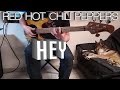 Red Hot Chili Peppers - Hey (Bass Cover) - Tabs in description