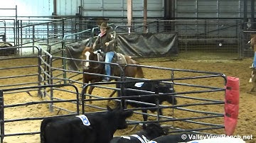 Elans Jewel - sorting practice 2 - Valley View Ranch