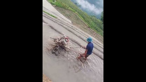 Cày trên những thửa ruộng bậc thang