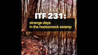 iTF 231: Strange Days in the Hockomock Swamp