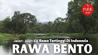 Rawa Tertinggi Indonesia Yang Keindahannya Seperti Di Amazon Brazil