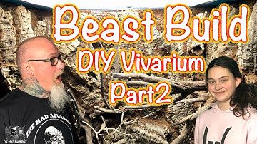 DIY HUGE Rain forrest BIOACTIVE Vivarium build part 2