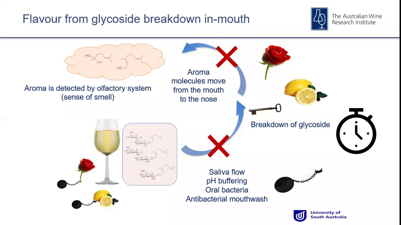 Increasing wine flavour with glycoside additions