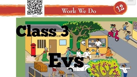 Work We Do Class 3 EVs Chapter 12 /Hindi Explanation/Ncert Question ❓ Answer