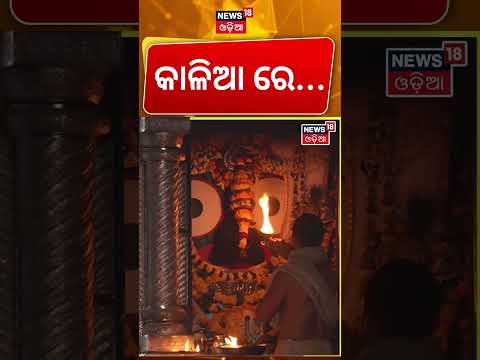 ପତିତପାବନଙ୍କ ମଙ୍ଗଳ ଆଳତୀ |Jagannath Temple | Srimandir Morning Rituals | Puri Temple | Odia News