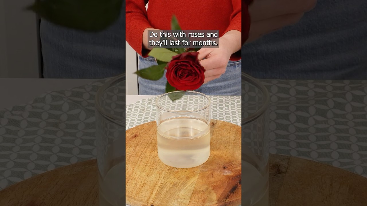 Окуните розы в горячий воск, и они будут радовать вас долгие месяцы! 