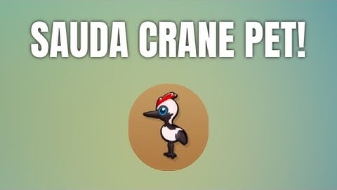 Showcasing The SAUDA CRANE Pet In Btd6!