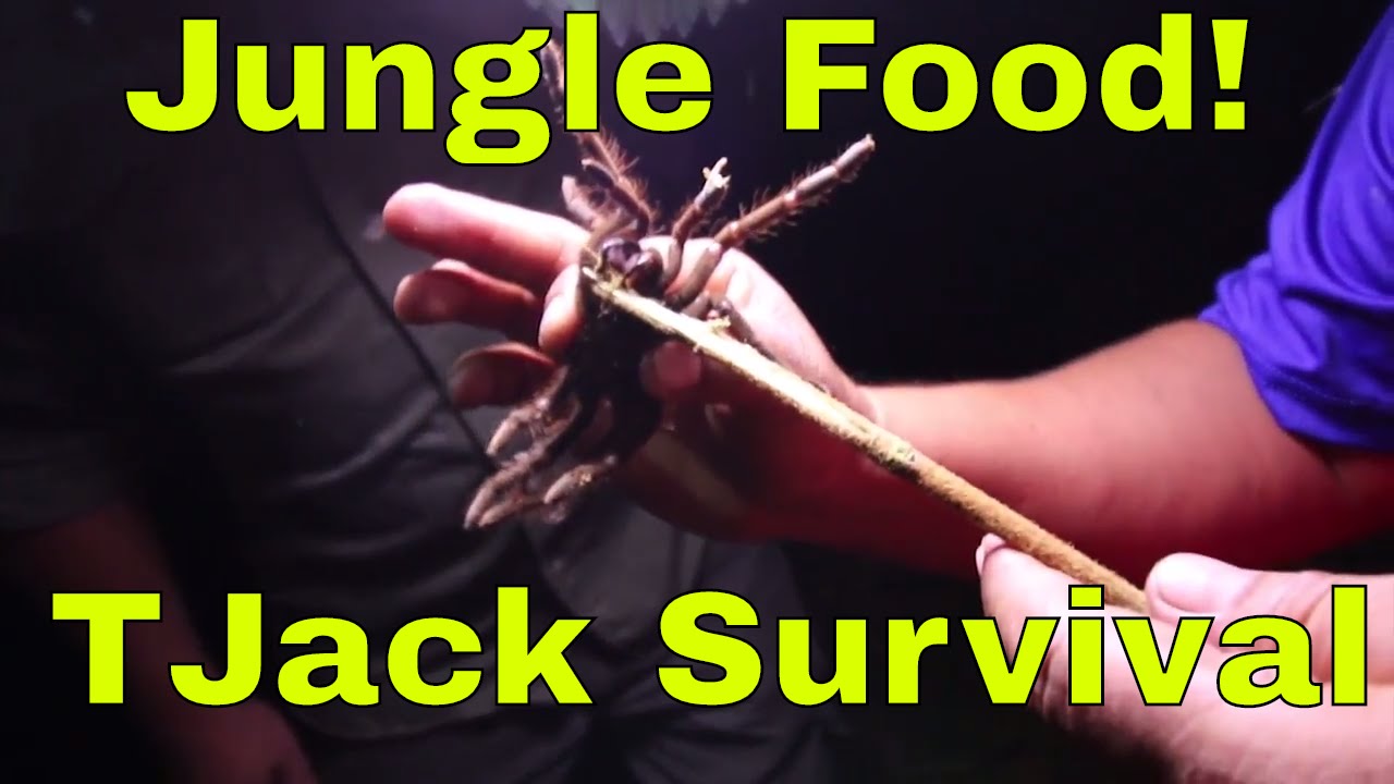 Night Hiking in the Jungle