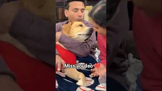12 बजे सरप्राइज#funny #leo😂😂#dogs #comedy #animals #funny #viralvideo #funniestvideo #trendingshorts
