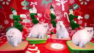 Bluey - Cats by Elf Yourself
